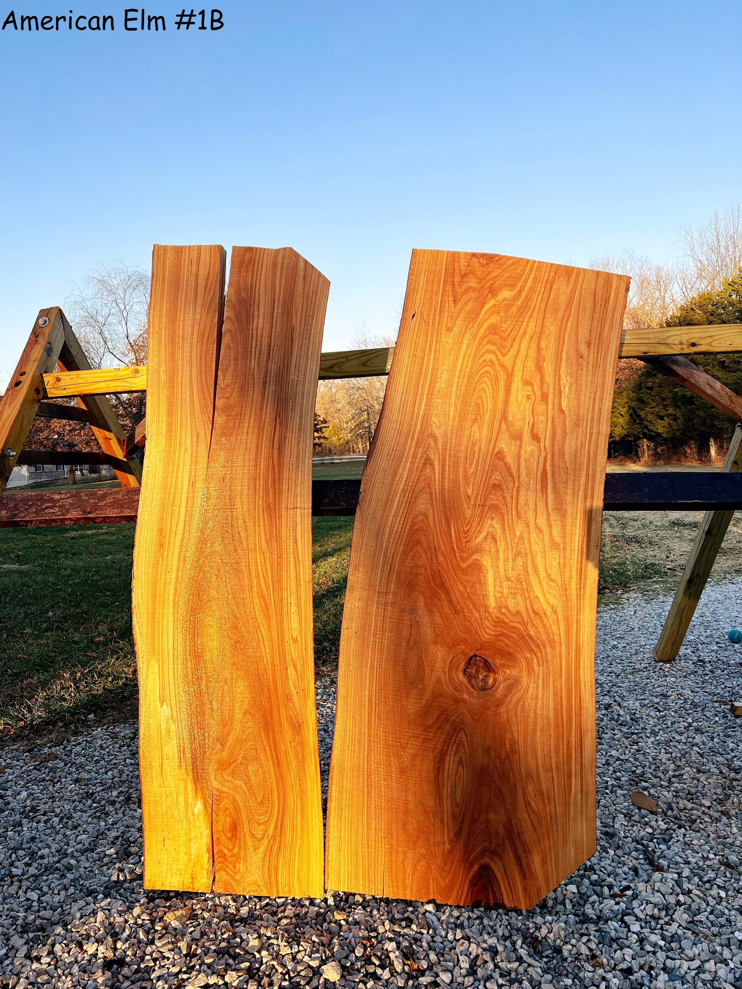 Wood Slabs (6-9' Long) – Meyer's Mill